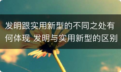发明跟实用新型的不同之处有何体现 发明与实用新型的区别有哪些