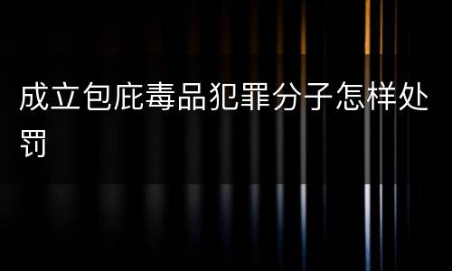 成立包庇毒品犯罪分子怎样处罚