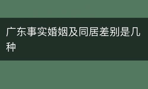 广东事实婚姻及同居差别是几种