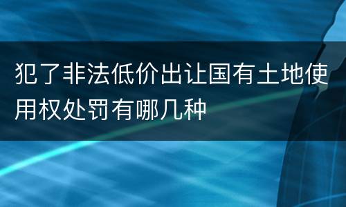 犯了非法低价出让国有土地使用权处罚有哪几种