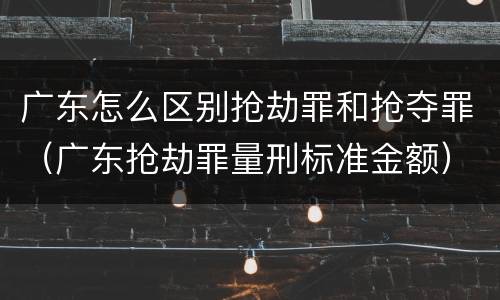 广东怎么区别抢劫罪和抢夺罪（广东抢劫罪量刑标准金额）