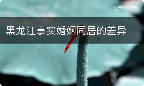 黑龙江事实婚姻同居的差异