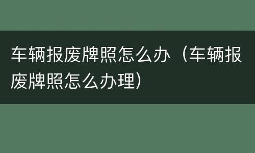 车辆报废牌照怎么办（车辆报废牌照怎么办理）