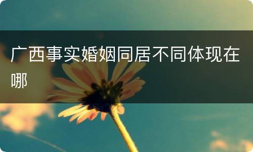 广西事实婚姻同居不同体现在哪
