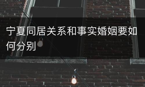 宁夏同居关系和事实婚姻要如何分别