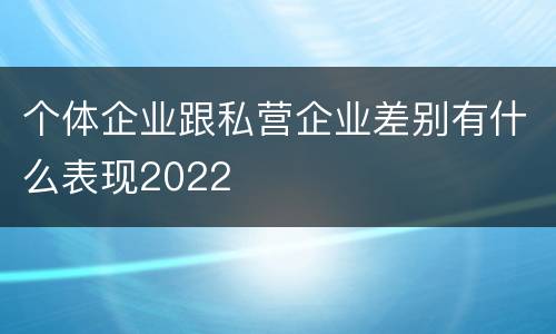 个体企业跟私营企业差别有什么表现2022
