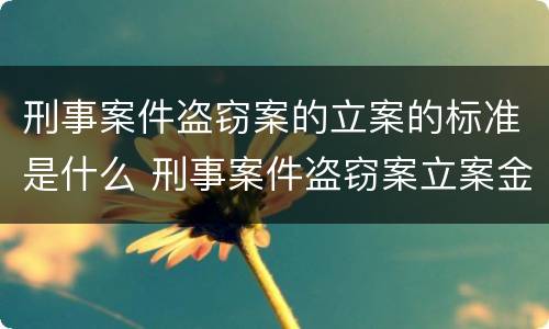 刑事案件盗窃案的立案的标准是什么 刑事案件盗窃案立案金额