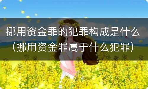 挪用资金罪的犯罪构成是什么（挪用资金罪属于什么犯罪）