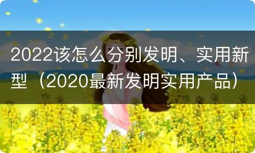 2022该怎么分别发明、实用新型（2020最新发明实用产品）