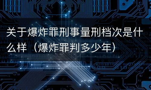 关于爆炸罪刑事量刑档次是什么样（爆炸罪判多少年）