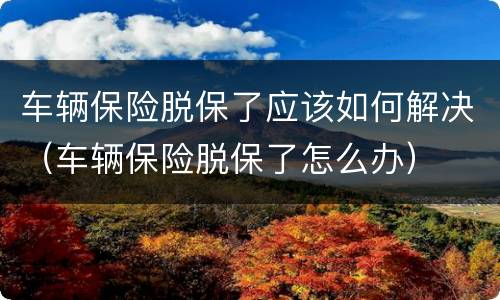 车辆保险脱保了应该如何解决（车辆保险脱保了怎么办）
