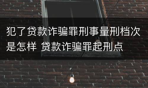 犯了贷款诈骗罪刑事量刑档次是怎样 贷款诈骗罪起刑点