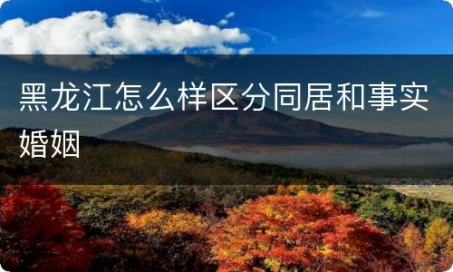 黑龙江怎么样区分同居和事实婚姻
