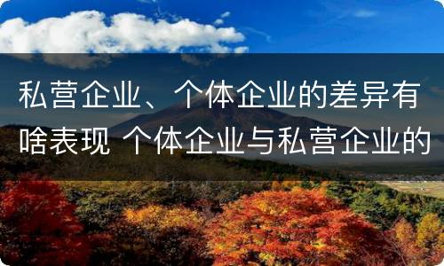 私营企业、个体企业的差异有啥表现 个体企业与私营企业的区别
