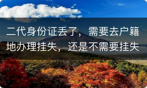 二代身份证丢了，需要去户籍地办理挂失，还是不需要挂失