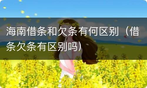 海南借条和欠条有何区别（借条欠条有区别吗）