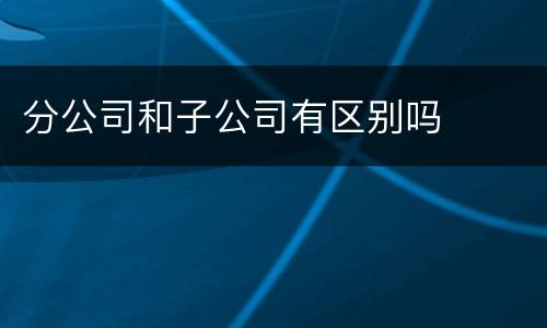 分公司和子公司有区别吗
