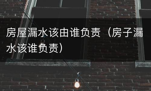 房屋漏水该由谁负责（房子漏水该谁负责）