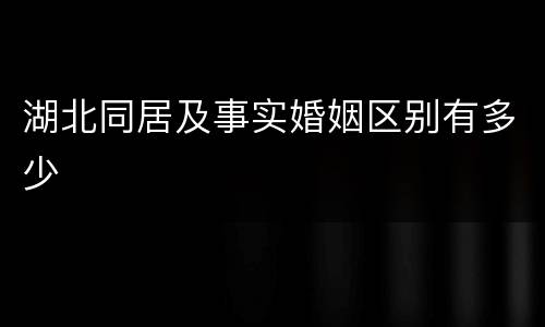 湖北同居及事实婚姻区别有多少