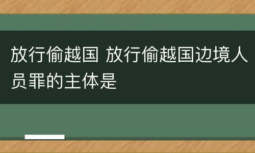 放行偷越国 放行偷越国边境人员罪的主体是