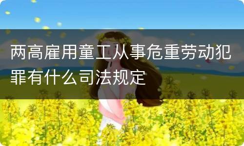 两高雇用童工从事危重劳动犯罪有什么司法规定