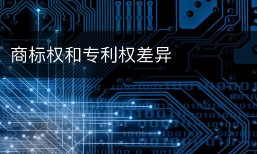 商标权和专利权差异