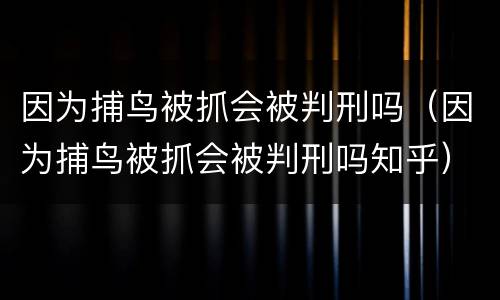 因为捕鸟被抓会被判刑吗（因为捕鸟被抓会被判刑吗知乎）