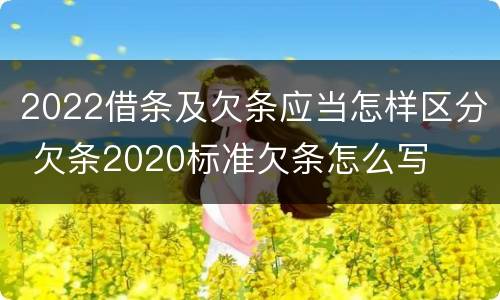 2022借条及欠条应当怎样区分 欠条2020标准欠条怎么写