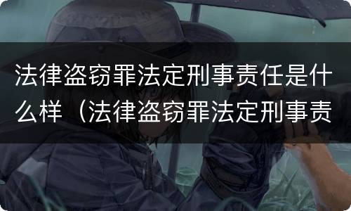 法律盗窃罪法定刑事责任是什么样（法律盗窃罪法定刑事责任是什么样的）