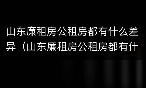 山东廉租房公租房都有什么差异（山东廉租房公租房都有什么差异吗）
