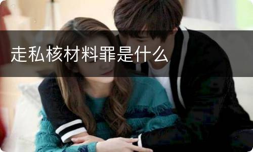 走私核材料罪是什么