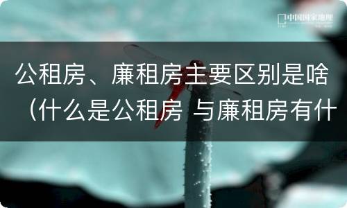 公租房、廉租房主要区别是啥（什么是公租房 与廉租房有什么区别）