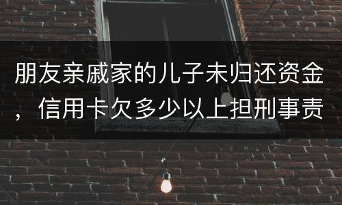 朋友亲戚家的儿子未归还资金，信用卡欠多少以上担刑事责任
