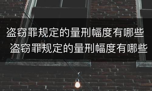 盗窃罪规定的量刑幅度有哪些 盗窃罪规定的量刑幅度有哪些限制