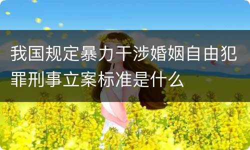 我国规定暴力干涉婚姻自由犯罪刑事立案标准是什么