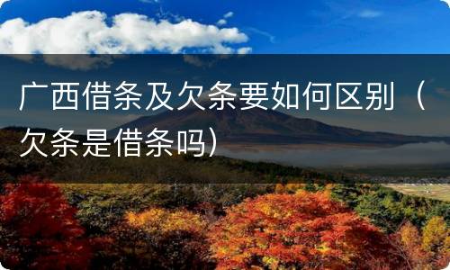 广西借条及欠条要如何区别（欠条是借条吗）
