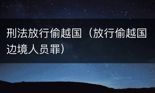 刑法放行偷越国（放行偷越国边境人员罪）