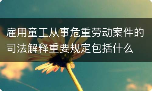 雇用童工从事危重劳动案件的司法解释重要规定包括什么