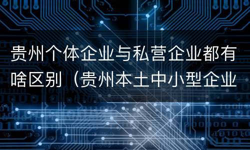 贵州个体企业与私营企业都有啥区别（贵州本土中小型企业有哪些）