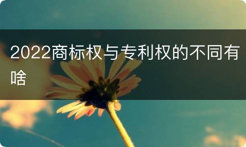 2022商标权与专利权的不同有啥
