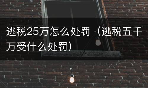 逃税25万怎么处罚（逃税五千万受什么处罚）