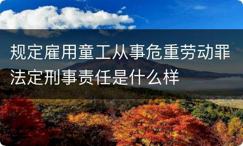 规定雇用童工从事危重劳动罪法定刑事责任是什么样