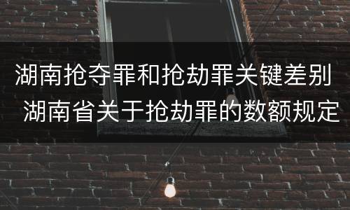 湖南抢夺罪和抢劫罪关键差别 湖南省关于抢劫罪的数额规定