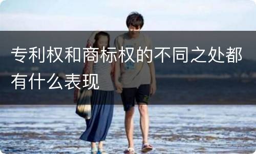 专利权和商标权的不同之处都有什么表现