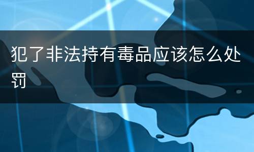 犯了非法持有毒品应该怎么处罚