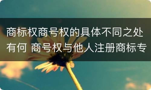 商标权商号权的具体不同之处有何 商号权与他人注册商标专用权的冲突