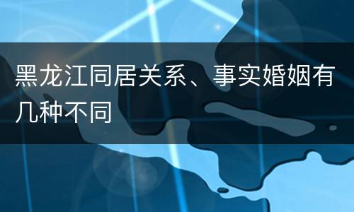 黑龙江同居关系、事实婚姻有几种不同