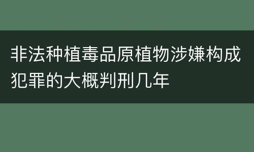 非法种植毒品原植物涉嫌构成犯罪的大概判刑几年