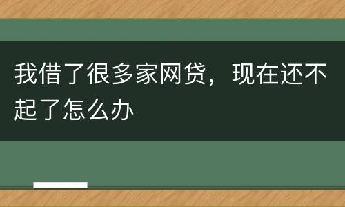 我借了很多家网贷，现在还不起了怎么办