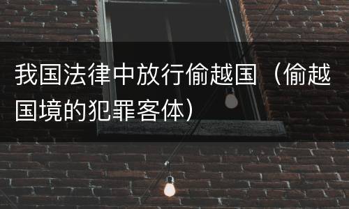 我国法律中放行偷越国（偷越国境的犯罪客体）
